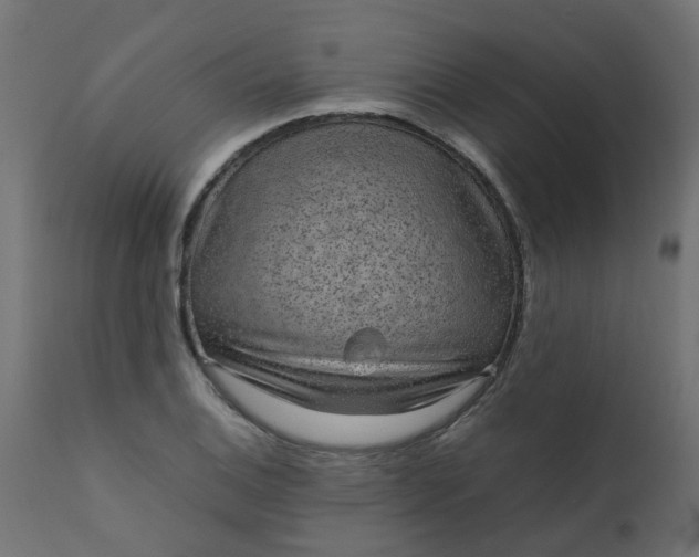X0000110711124200906261425