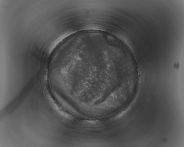 X0000110711125200906261425