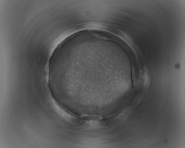 X0000110711128200906261425