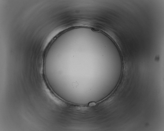 X0000110711131200906261425