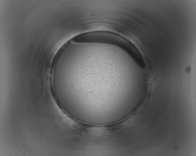 X0000110711134200906261425