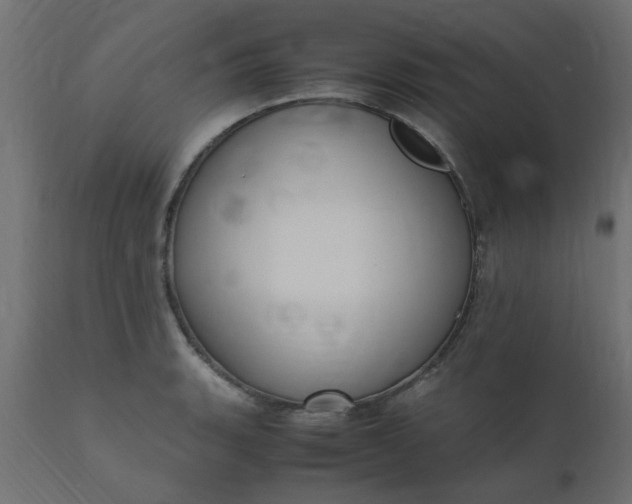 X0000110711135200906261425
