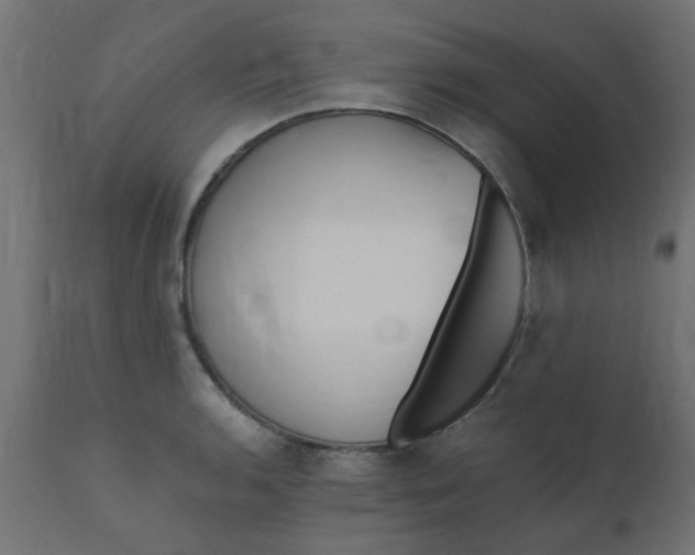 X0000110711136200906261425