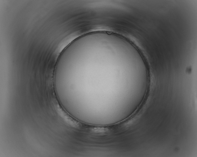 X0000110711137200906261425