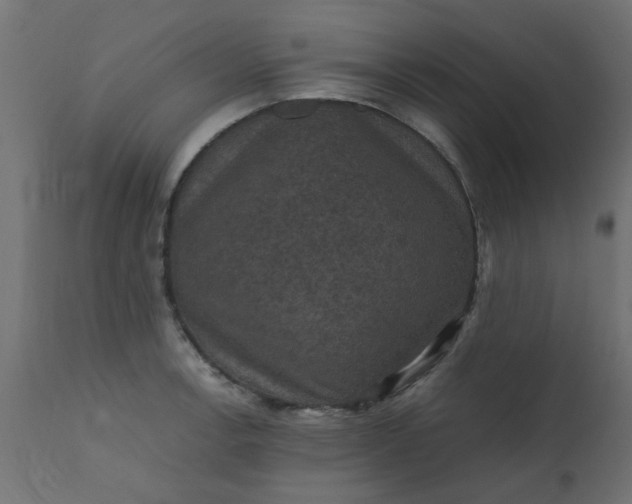 X0000110711138200906261425