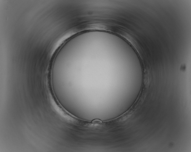 X0000110711139200906261425