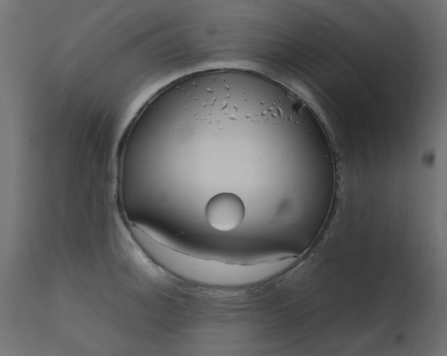 X0000110711140200906261425