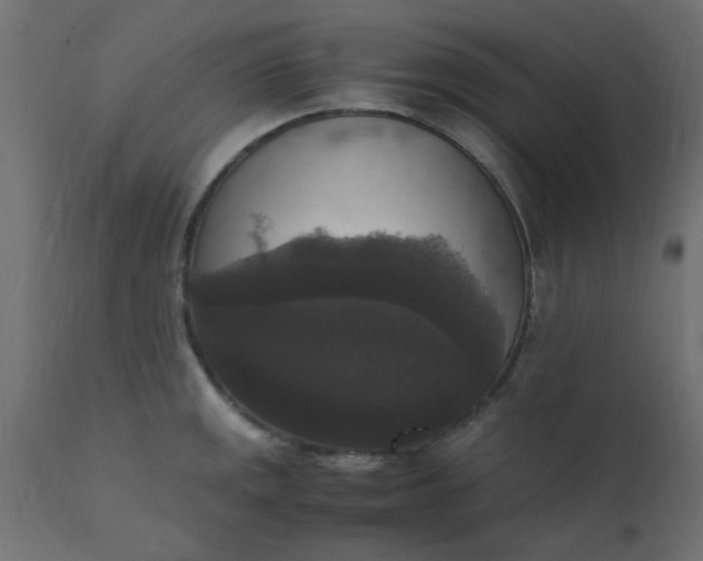 X0000110711141200906261425