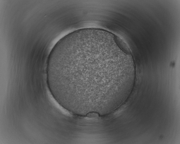 X0000110711142200906261425