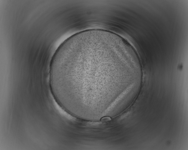 X0000110711143200906261425