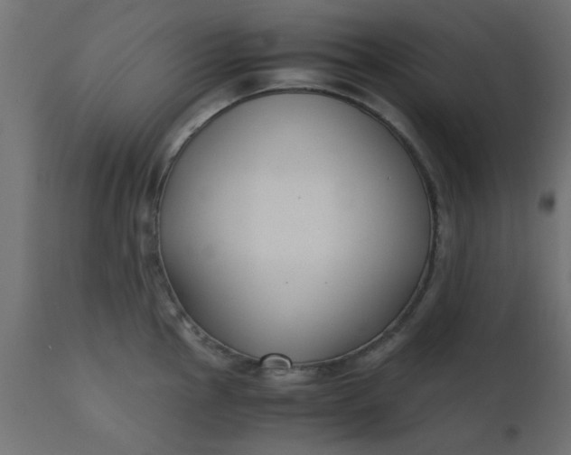X0000110711145200906261425