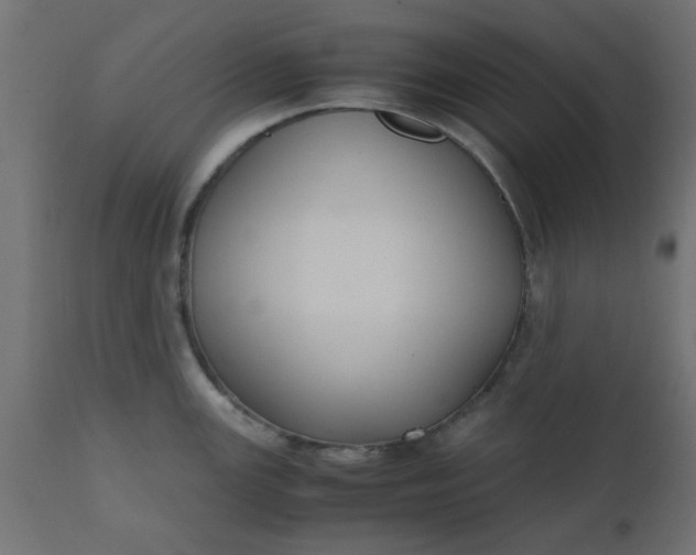 X0000110711147200906261425