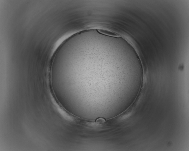 X0000110711149200906261425