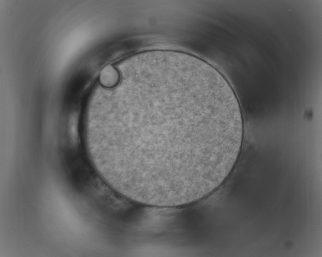X0000110711150200906261425