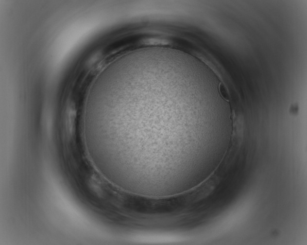X0000110711151200906261425