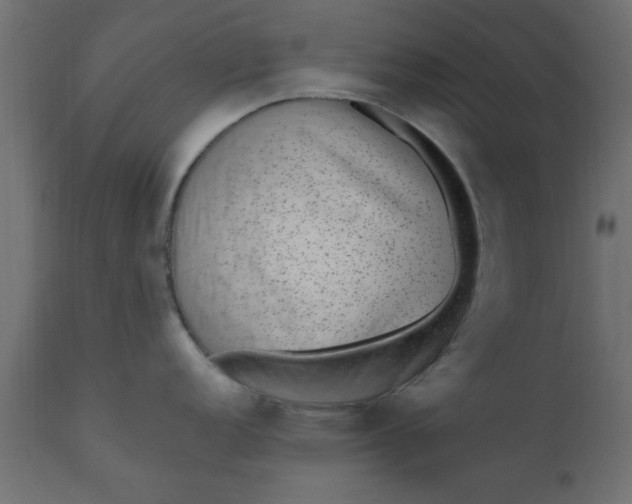 X0000110711152200906261425