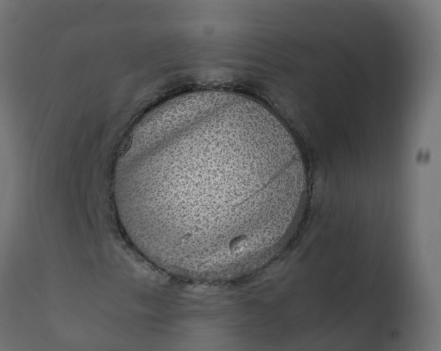 X0000110711153200906261424
