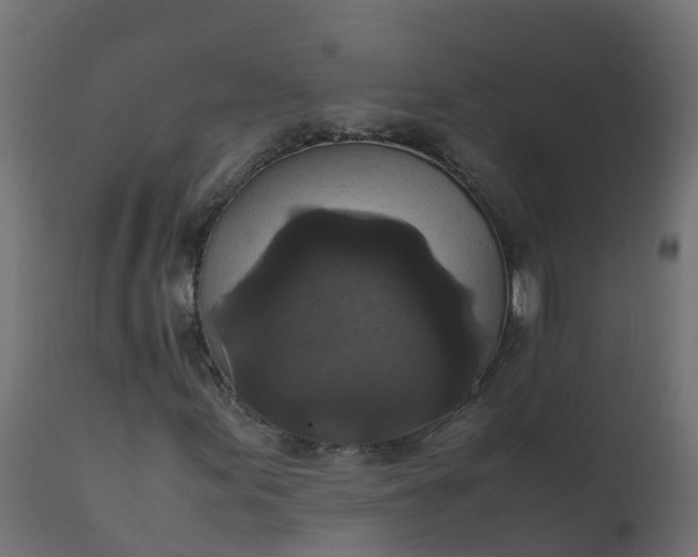 X0000110711155200906261424