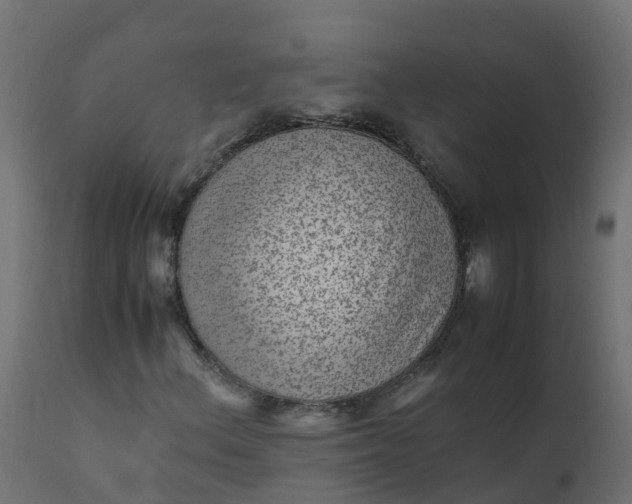 X0000110711156200906261424