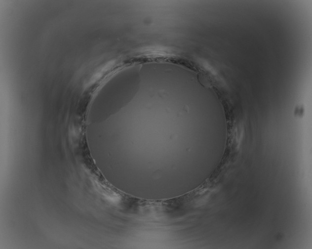X0000110711157200906261424