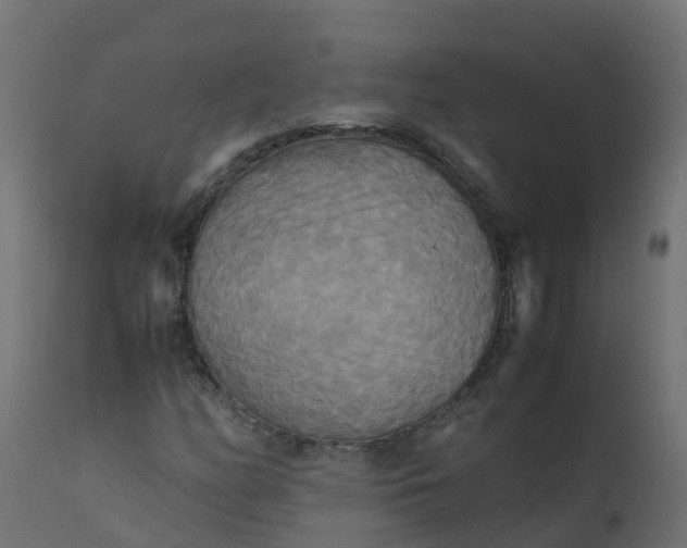 X0000110711158200906261424