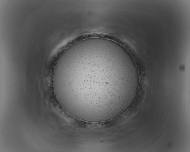 X0000110711159200906261424