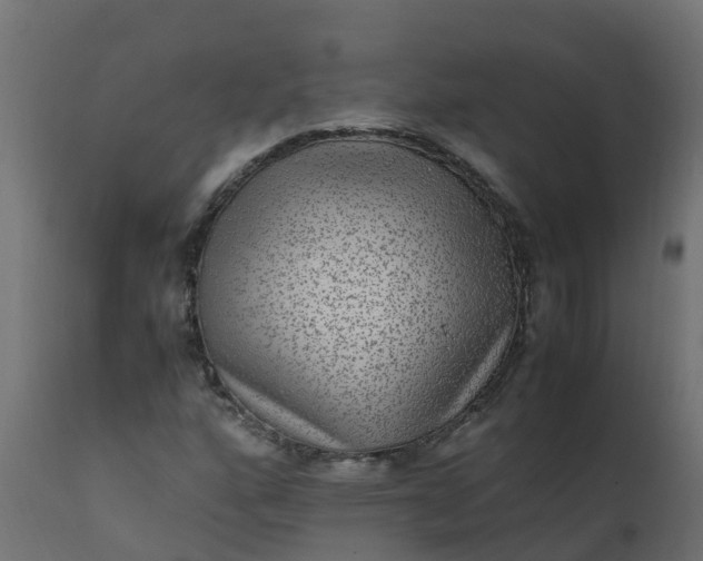 X0000110711160200906261424