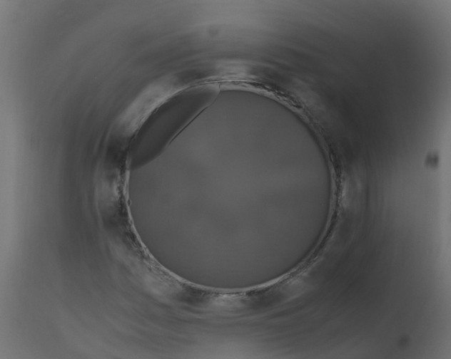 X0000110711161200906261424