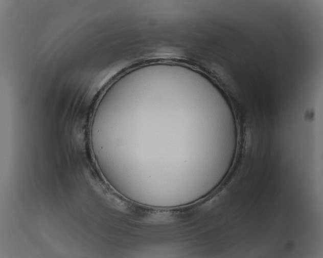 X0000110711162200906261424