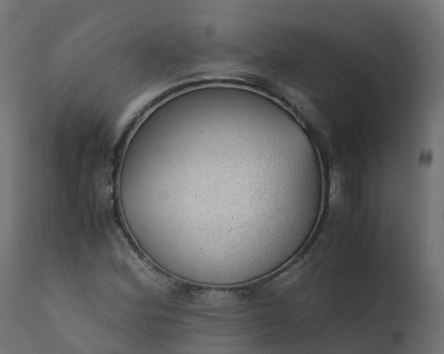 X0000110711164200906261424