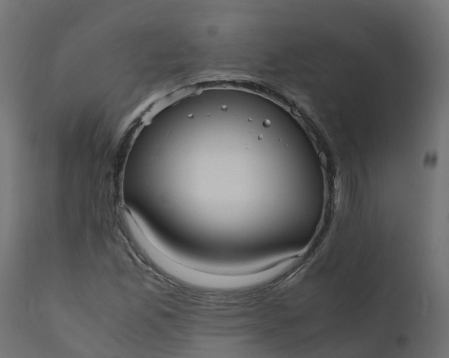 X0000110711165200906261424