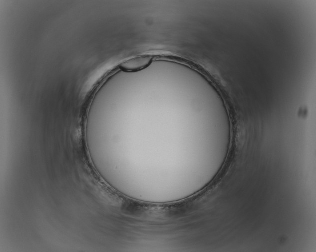 X0000110711167200906261424