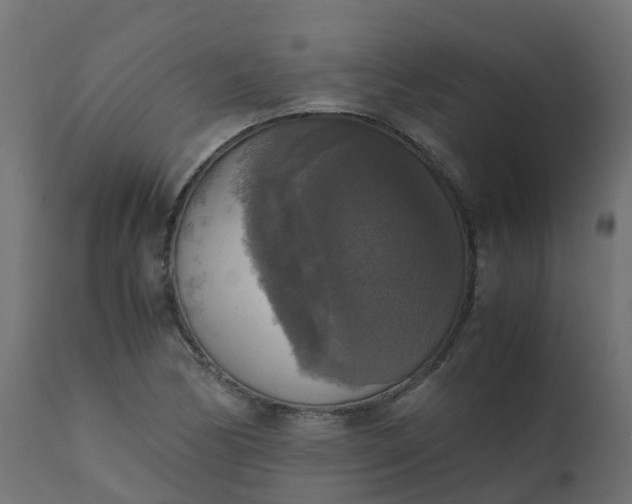 X0000110711170200906261424