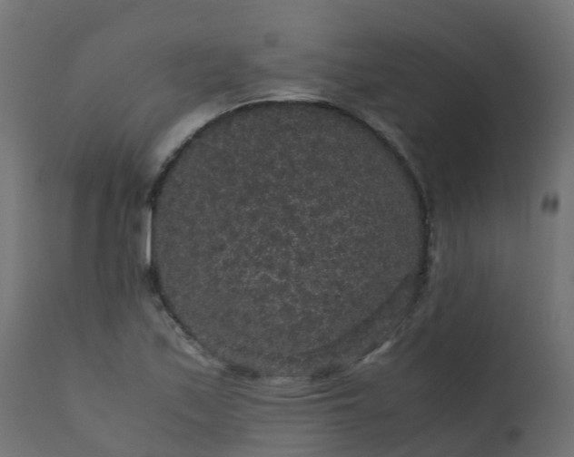 X0000110711171200906261424