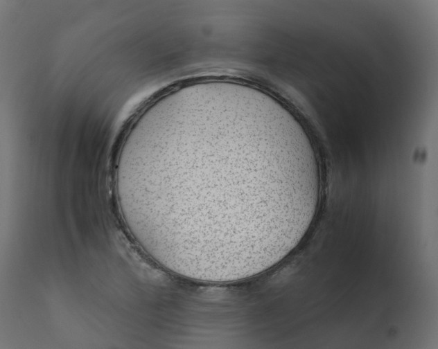 X0000110711172200906261424