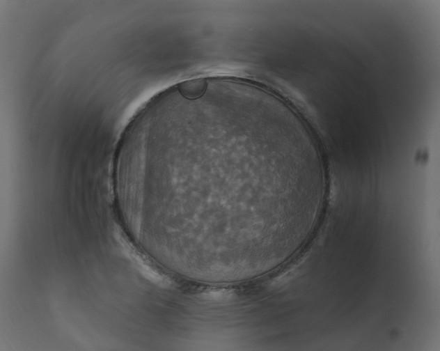 X0000110711174200906261424