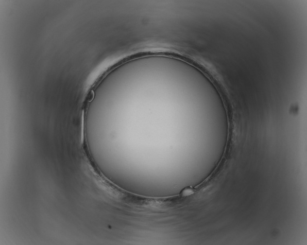 X0000110711175200906261424