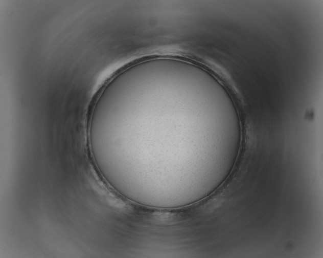 X0000110711176200906261424