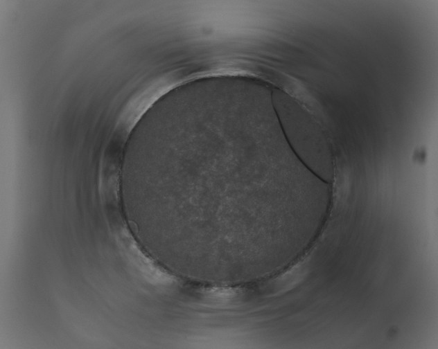 X0000110711177200906261424