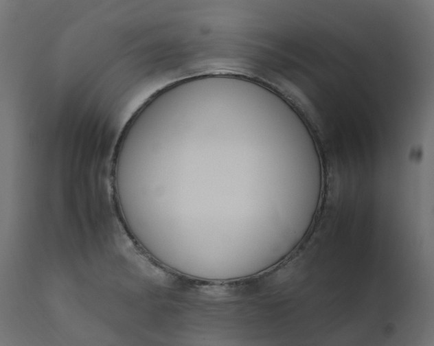 X0000110711182200906261424
