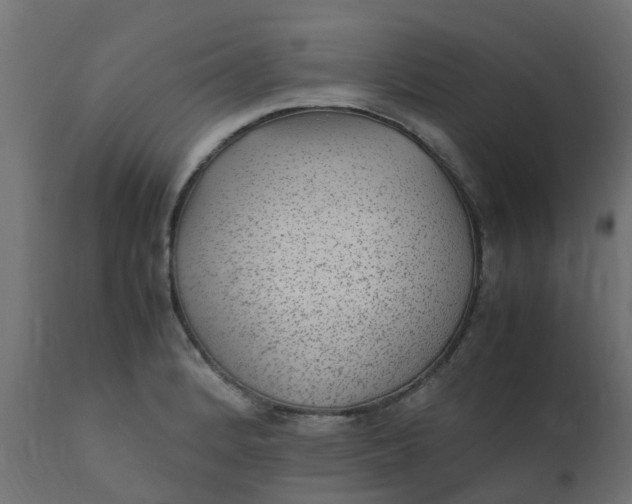 X0000110711184200906261424
