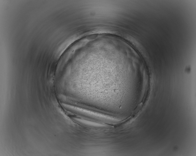 X0000110711185200906261424