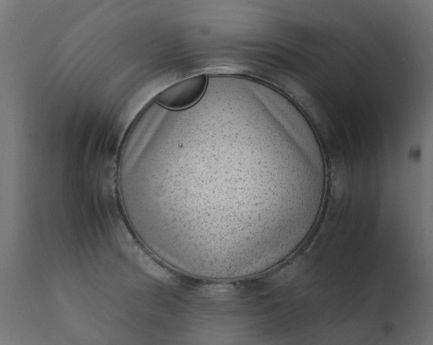 X0000110711186200906261424