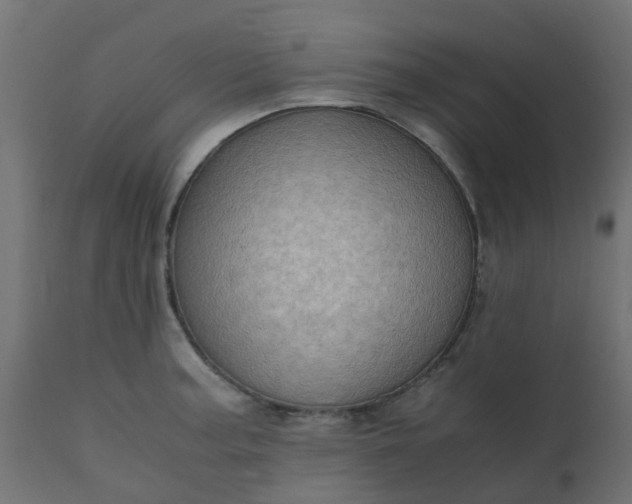 X0000110711187200906261424