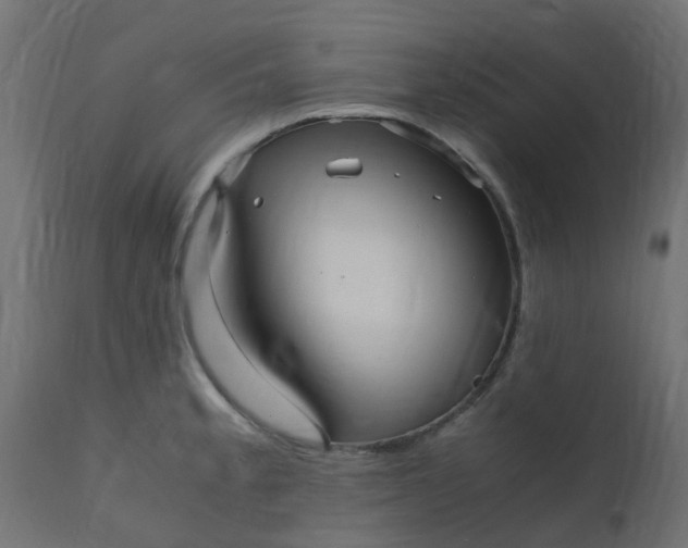 X0000110711189200906261424