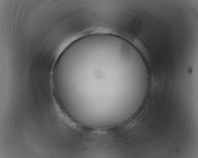 X0000110711190200906261424