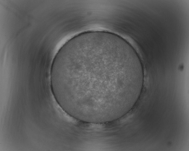 X0000110711191200906261424