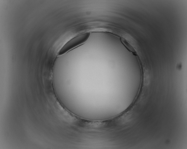 X0000110711193200906261424