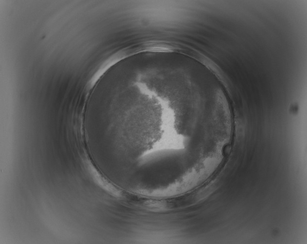X0000110711194200906261424