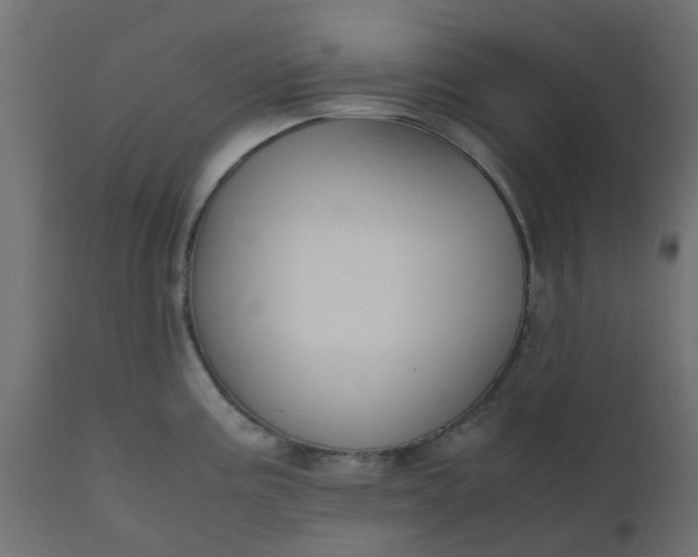X0000110711195200906261424